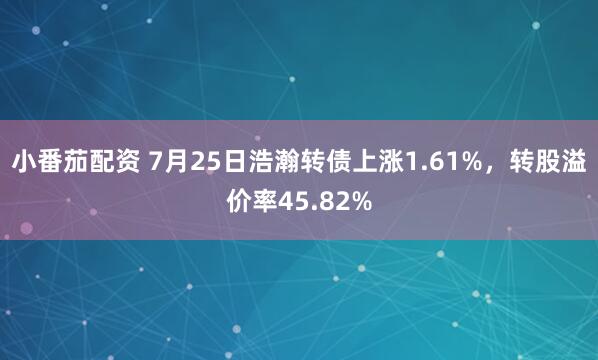 小番茄配资 7月25日浩瀚转债上涨1.61%，转股溢价率45.82%