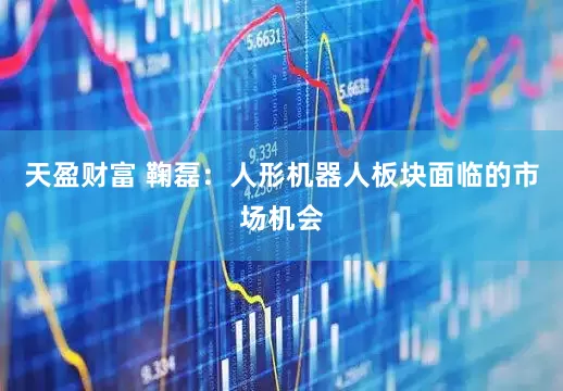 天盈财富 鞠磊：人形机器人板块面临的市场机会