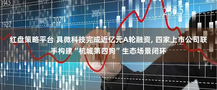 红盘策略平台 具微科技完成近亿元A轮融资, 四家上市公司联手构建“杭城第四狗”生态场景闭环