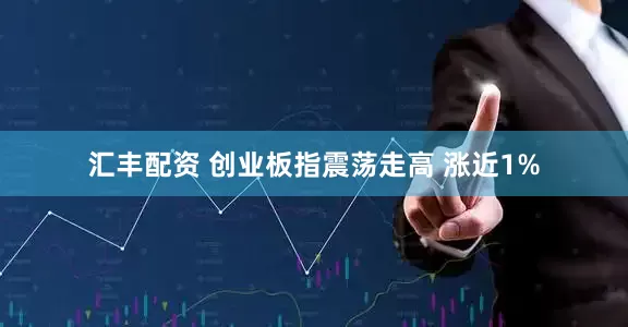 汇丰配资 创业板指震荡走高 涨近1%
